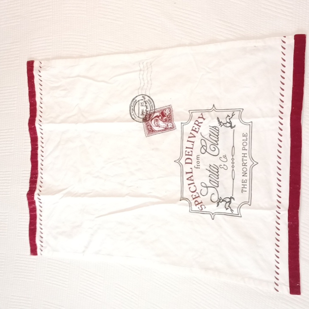 Special Delivery from Santa Claus & Co Christmas kitchen towel North pole 20x28"